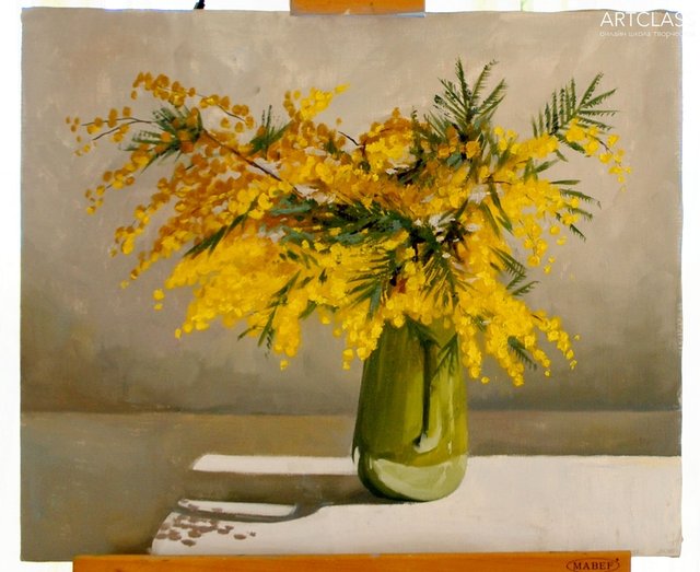Mimosa