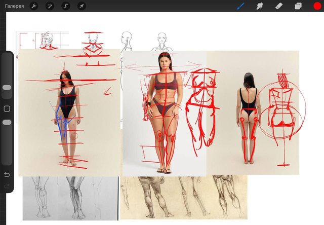 Theory. Anatomy for the painter